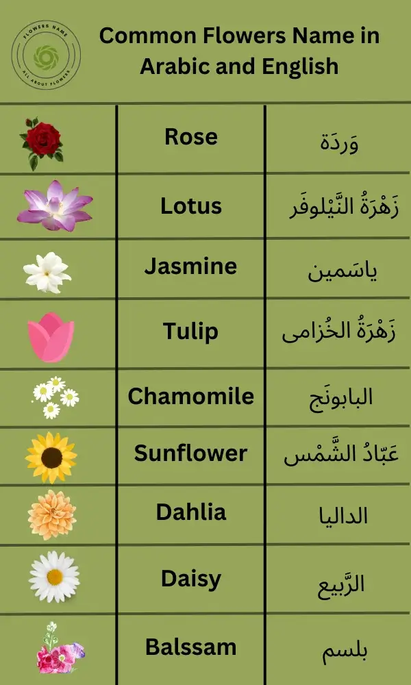 Flowers Name In Arabic And English With