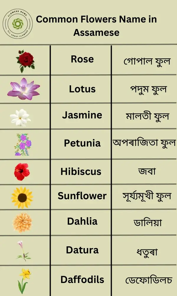 Flowers Name In Assamese And English