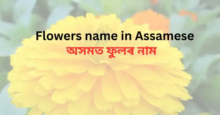 20+ Flowers Name in Assamese with Images