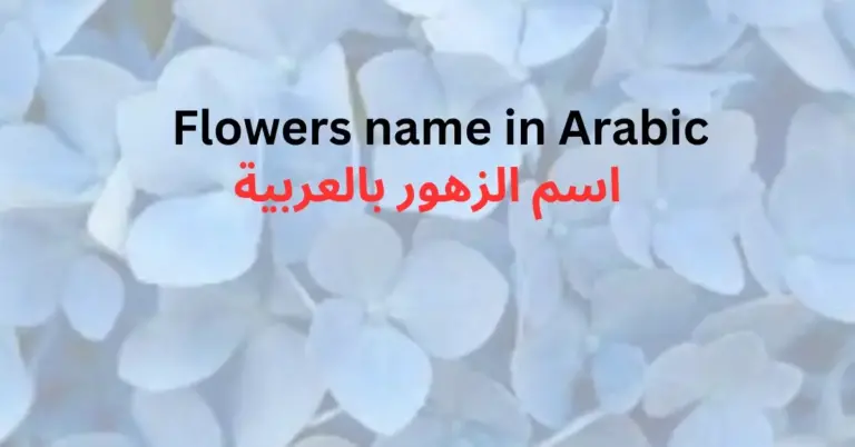 Flowers name in Arabic and English with Images [40+]