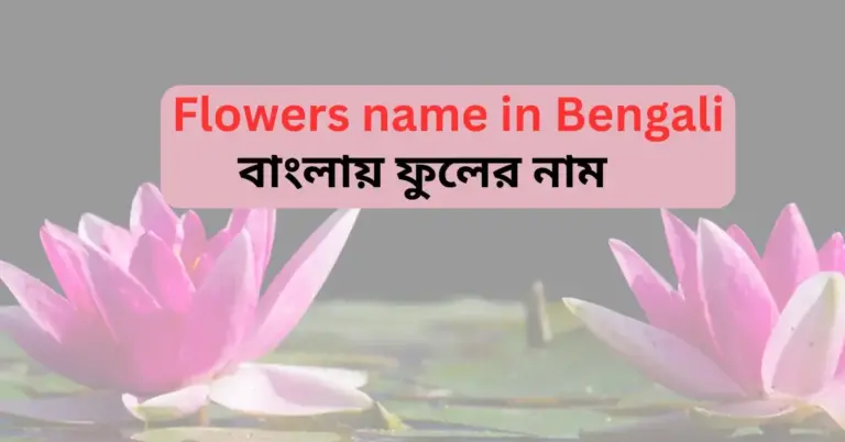 50+ Flowers name in Bengali with images (ফুলের নাম)