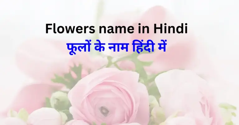 List of Flowers name in Hindi and English with images[100+]