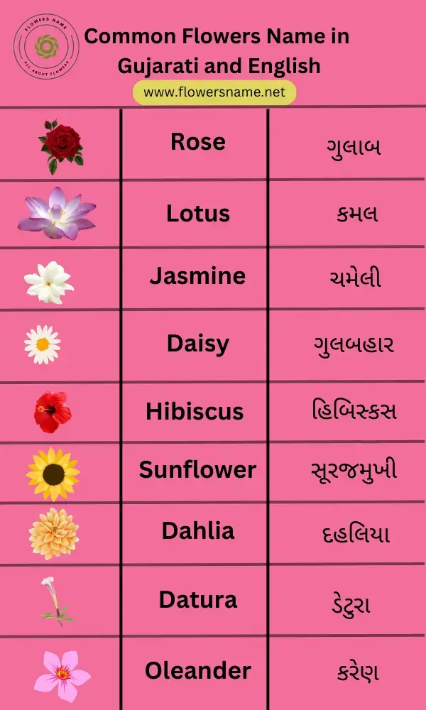 Common Flowers name in Gujarati