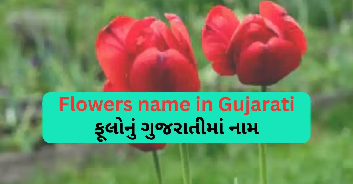 Flowers name in Gujarati