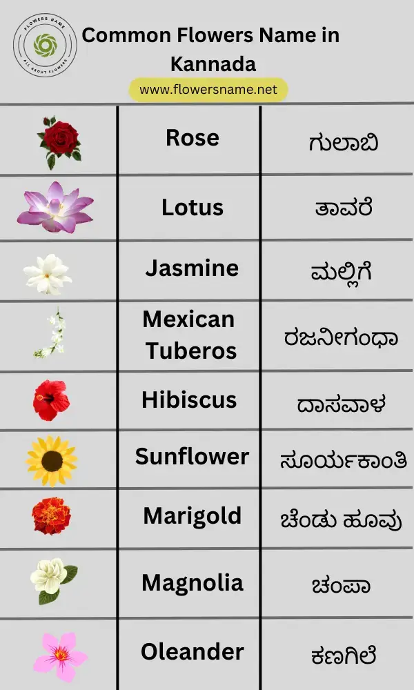 100 Flowers Name In Kannada ಹ ವ ಗಳ