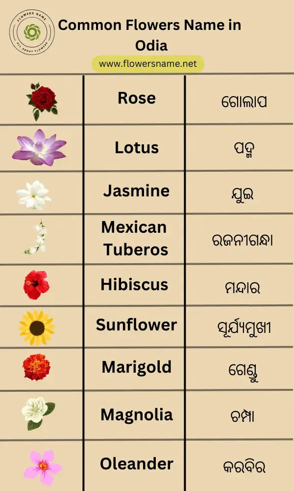 Common Flowers Name in Odia