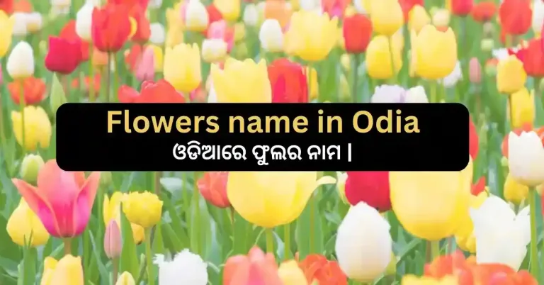 Flowers name in Odia with Images