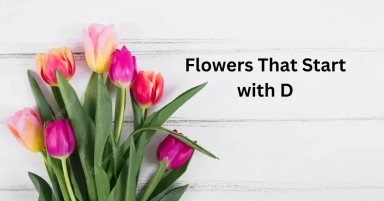 10 Beautiful Flowers that start with D