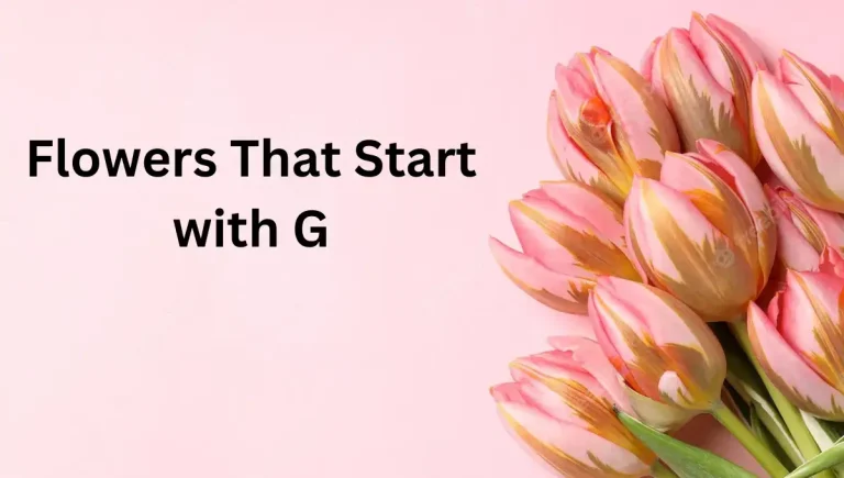 Top 10 Beautiful Flowers that start with G