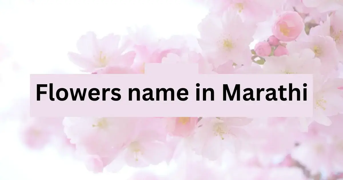Flowers name in Marathi