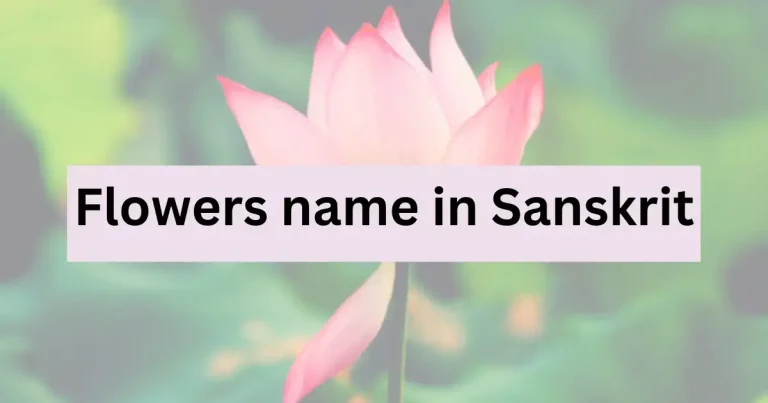 60+ Beautiful Flowers name in Sanskrit and English