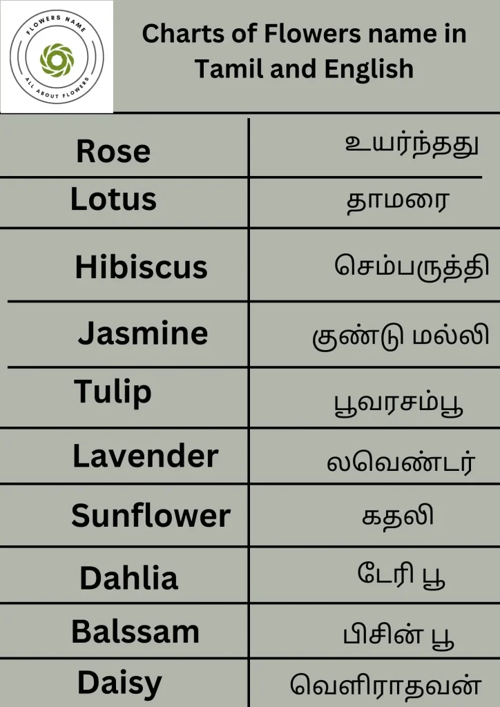 Flowers name in Tamil