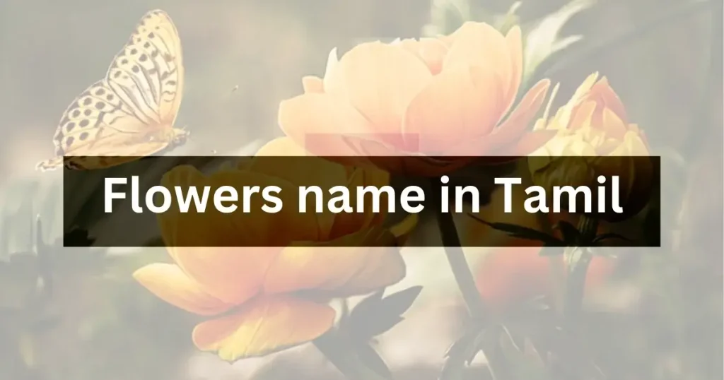 Flowers name in Tamil and English