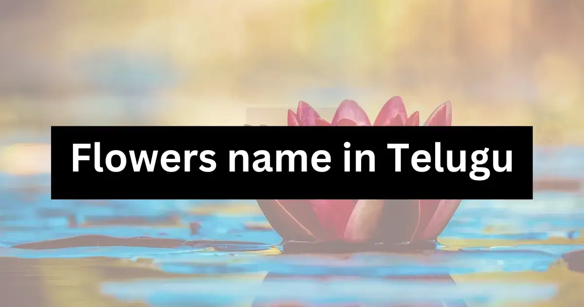 Flowers name in Telugu