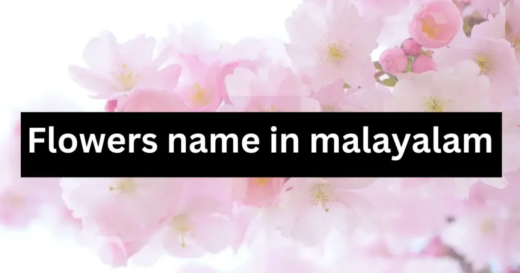Flowers name in malayalam