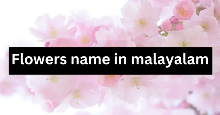 50+ Flowers name in malayalam and English